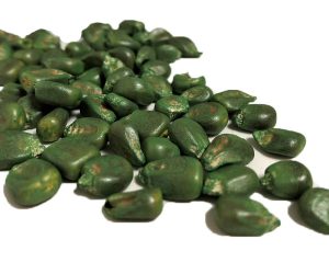 Green-Coat