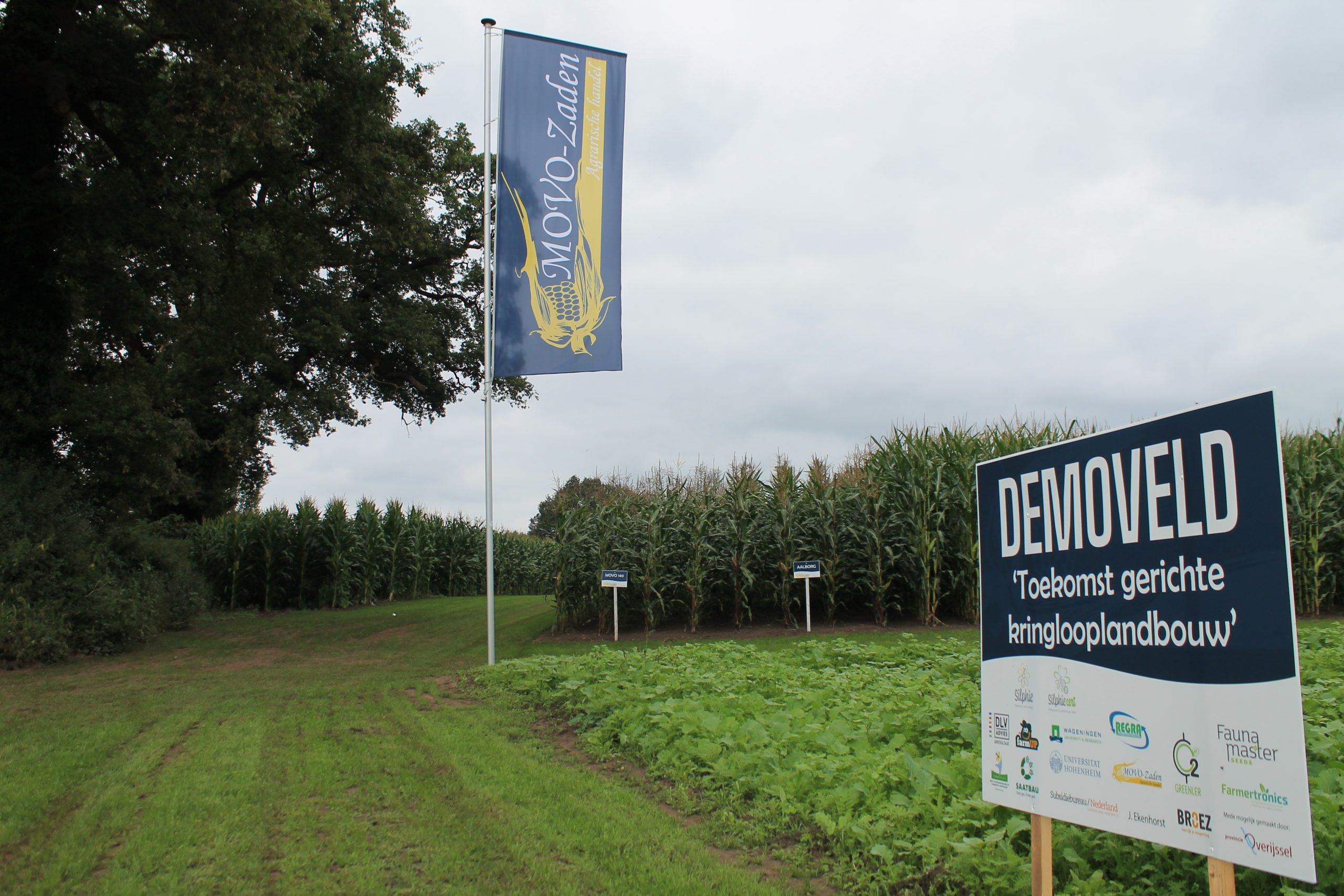 Demoveld